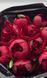 Red Charm (Ред Чарм) &mdash; зріз піонії, темно-червона, квітень 106-ac3 фото 5