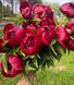Red Charm (Ред Чарм) &mdash; зріз піонії, темно-червона, квітень 106-ac3 фото 1