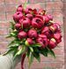 Red Charm (Ред Чарм) &mdash; зріз піонії, темно-червона, квітень 106-ac3 фото 2