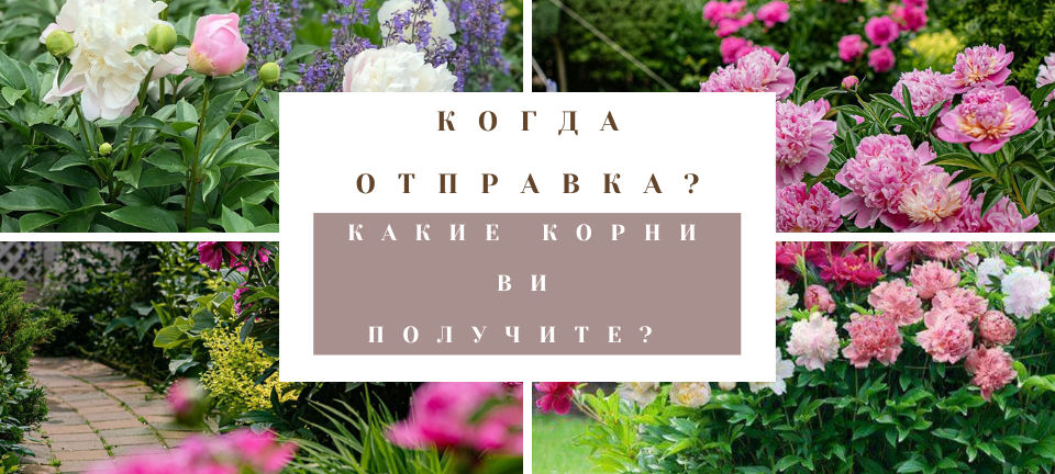 Banner from design